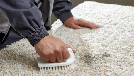 Professional Rug Cleaning Clematis