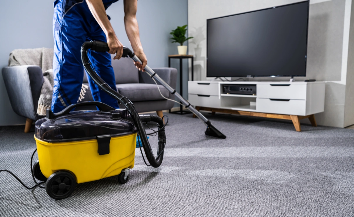 Extract Rug Cleaning Clematis Contact Office